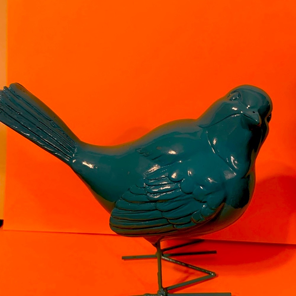 Blue Bird - Picture 6 of 6